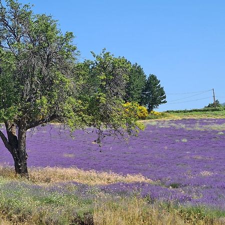 Villa La Petite Reine Du Ventoux à Sault Extérieur photo