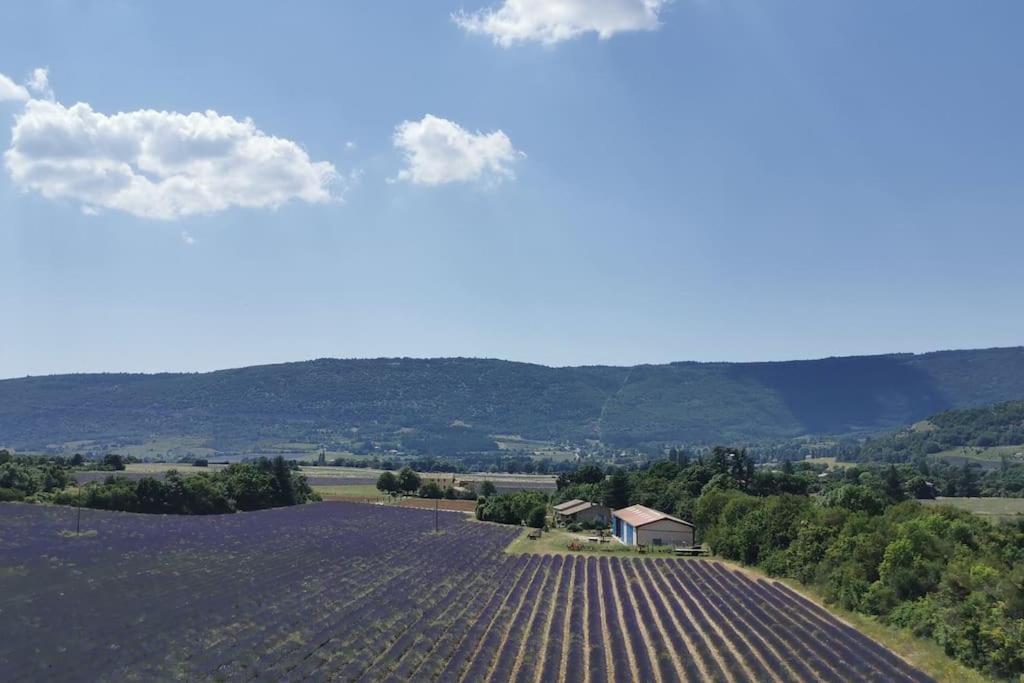 Villa La Petite Reine Du Ventoux à Sault Extérieur photo